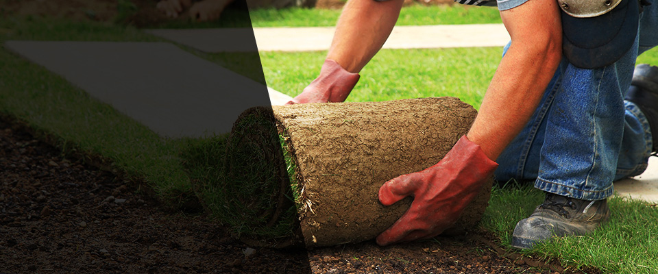 Sutherlin Landscapers